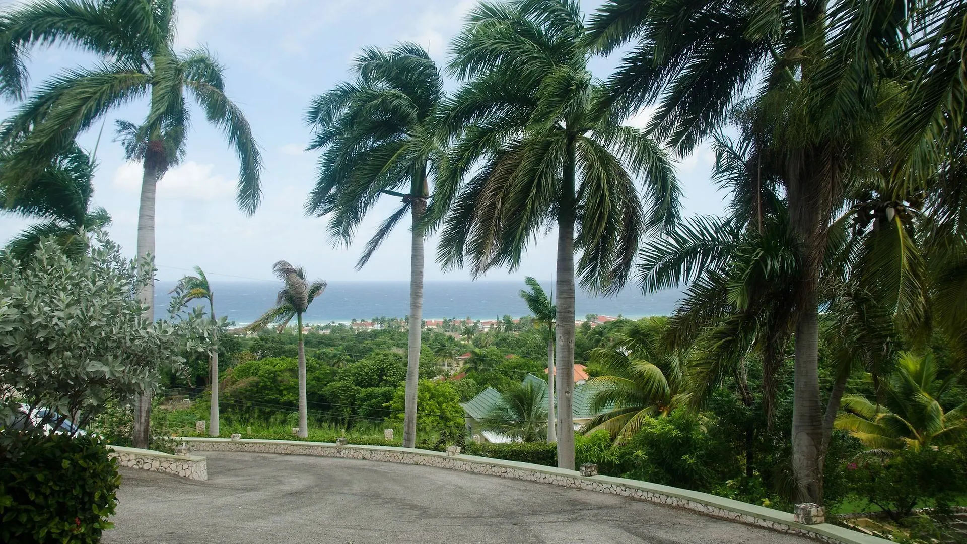 *** Penzion Ocean Crest Villa Montego Bay Jamajka
